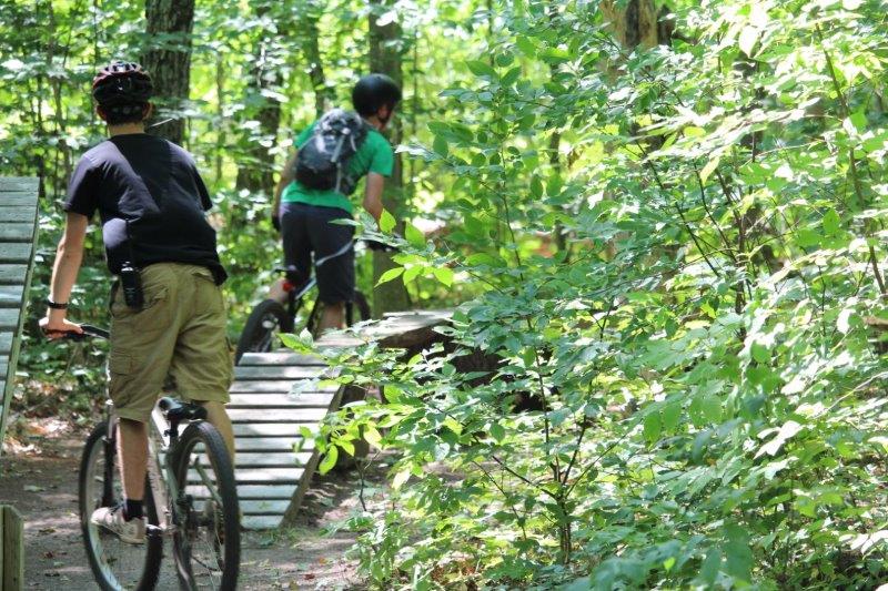 Two staff members riding bikes in the woods over a wooden ramp
