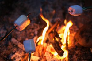 Marshmallows roasting