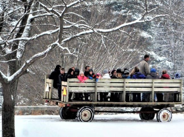 wagon ride